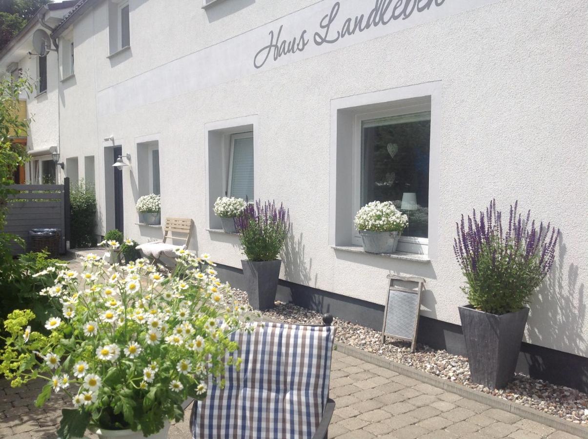Kleine Landliebe Apartment Hohwacht Exterior photo